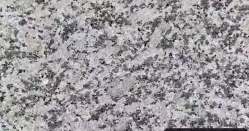 安阳 芙蓉白（芝麻白大花）火烧面