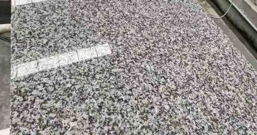 安阳 芙蓉白光面