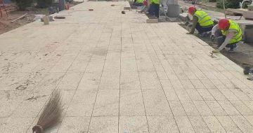 安阳黄金麻荔枝面地铺案例