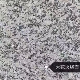 安阳 芙蓉白（芝麻白大花）火烧面