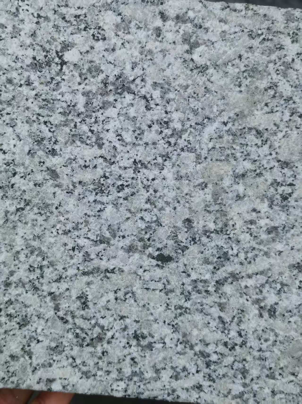 安阳 芙蓉白火烧面