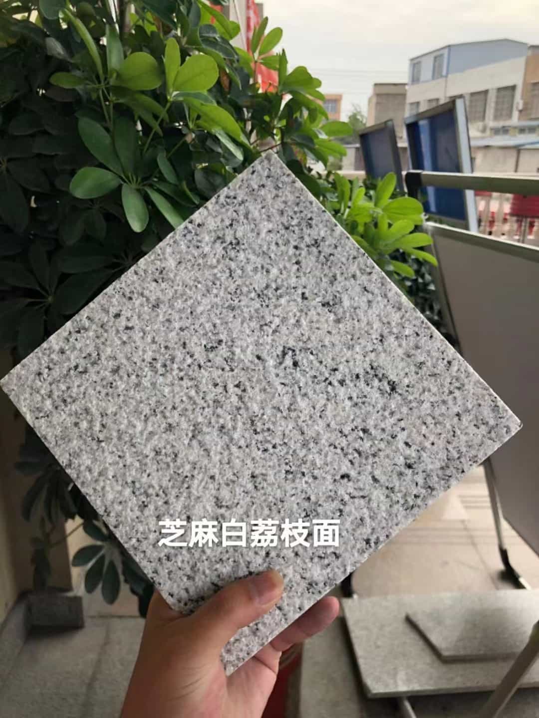 安阳 芝麻白荔枝面干挂