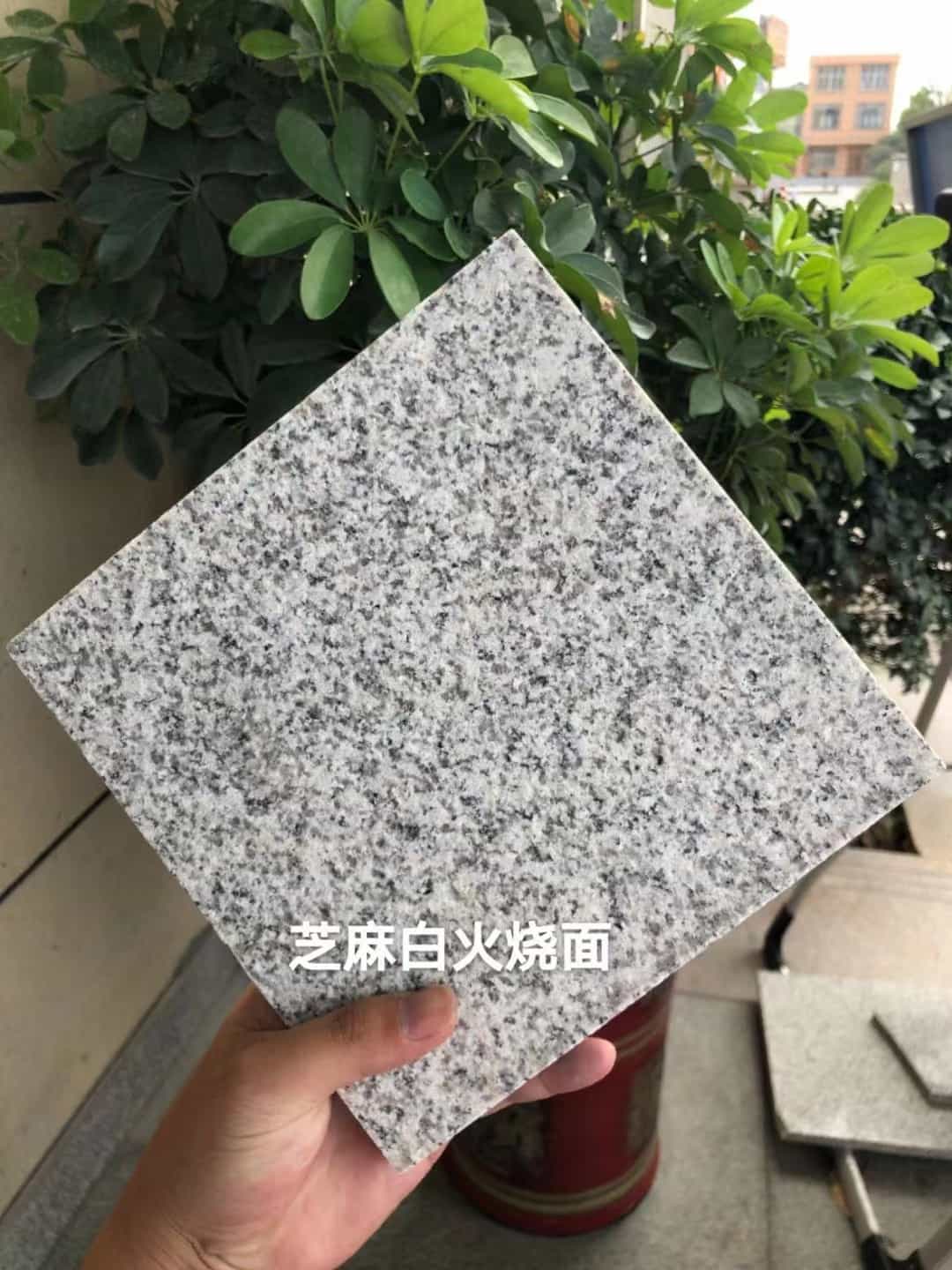 安阳芝麻白火烧面地铺