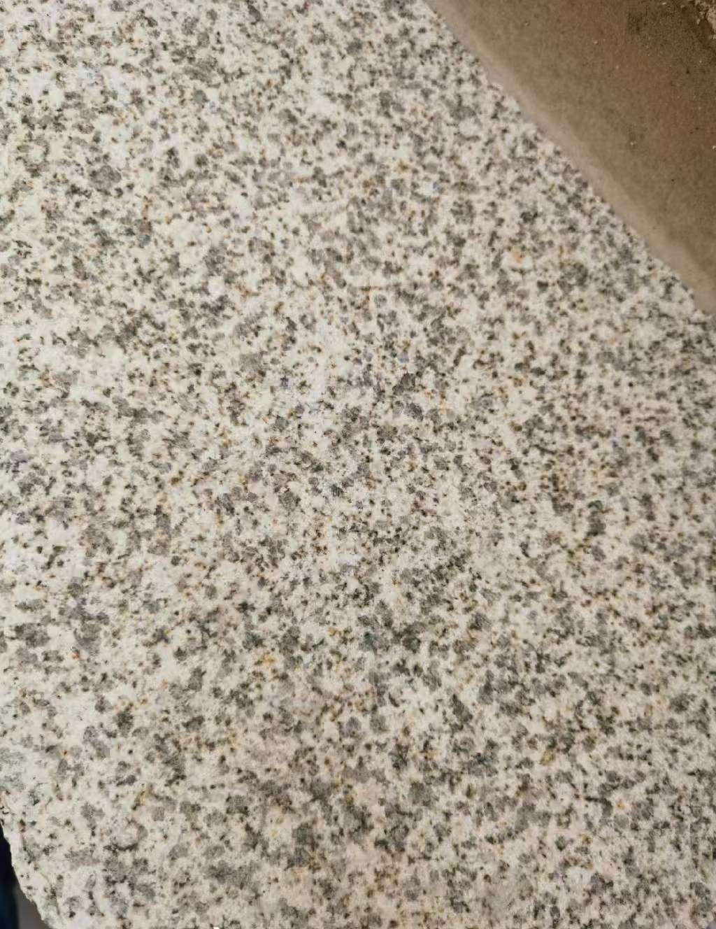 安阳 黄金麻中黄光面