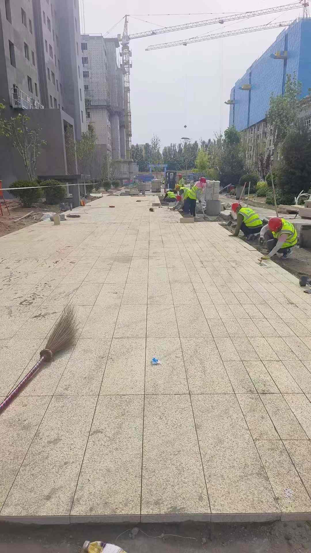 安阳黄金麻荔枝面地铺案例